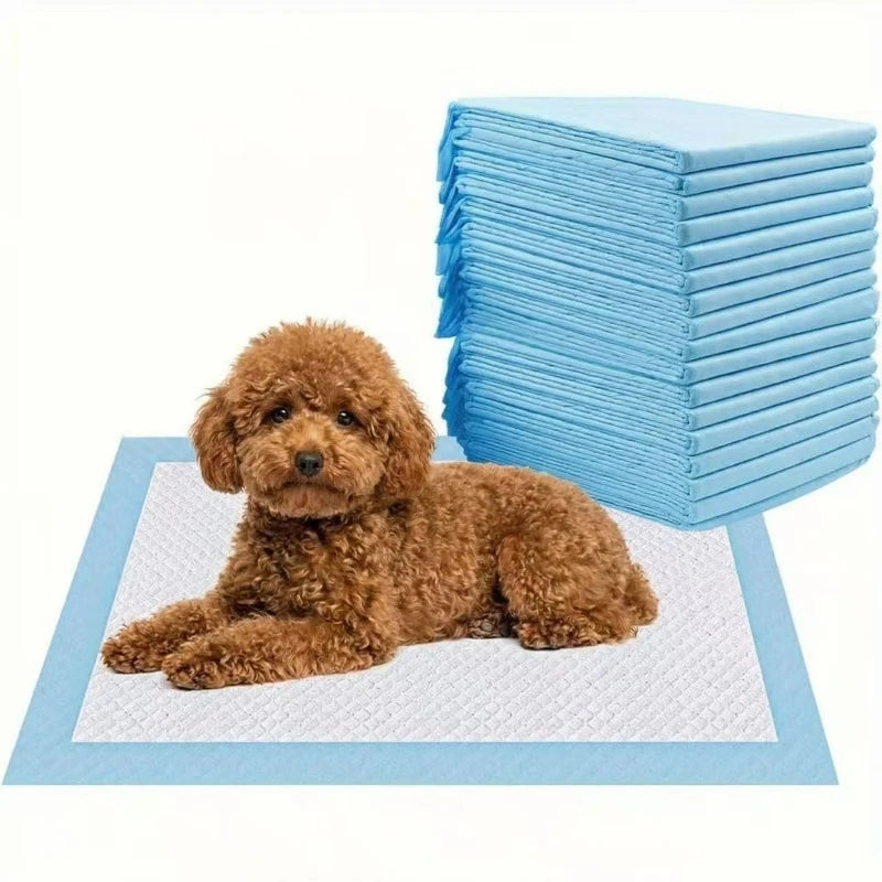 Tampon urinoir pour animaux de compagnie absorbant l'eau et étanche Tapis d'apprentissage pour chien à séchage rapide Tapis absorbant pour chiots Tapis d'apprentissage absorbant