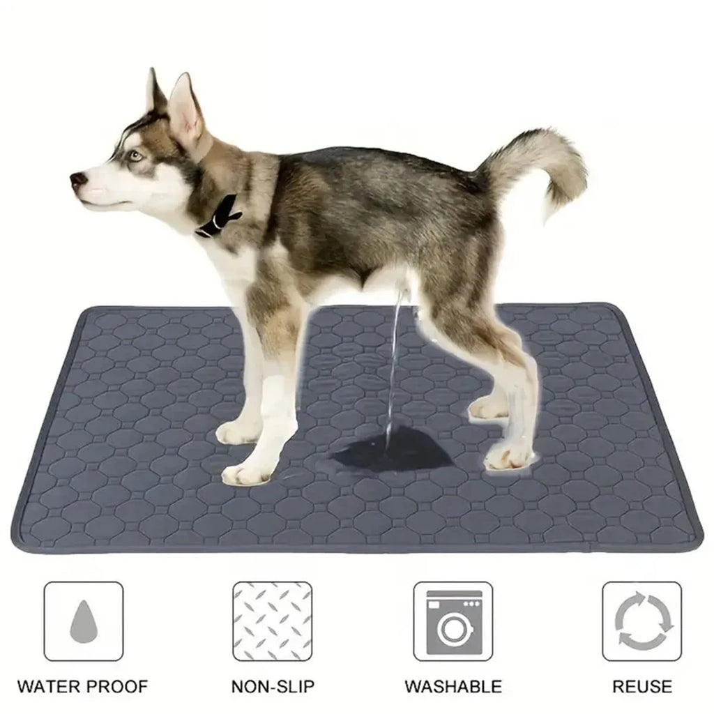 Tapis hygiénique réutilisable et lavable pour chien, siège de voiture, sol, canapé, tapis absorbant et imperméable pour l'entraînement des chiots et des chats, fournitures pour animaux de compagnie