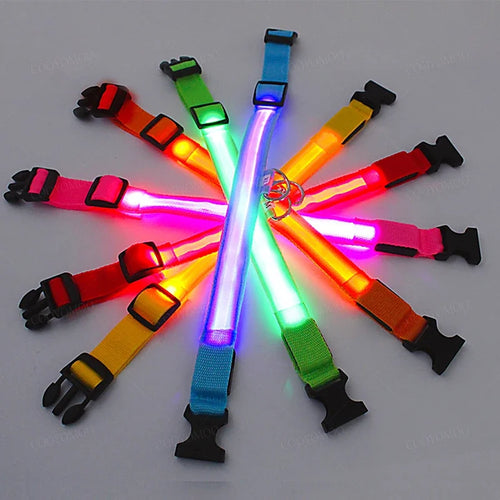 3 modos Collar luminoso de carga para perros LED USB, collares desmontables para gatos y perros, collar LED de noche brillante para prevención de pérdidas de perros, accesorios para mascotas