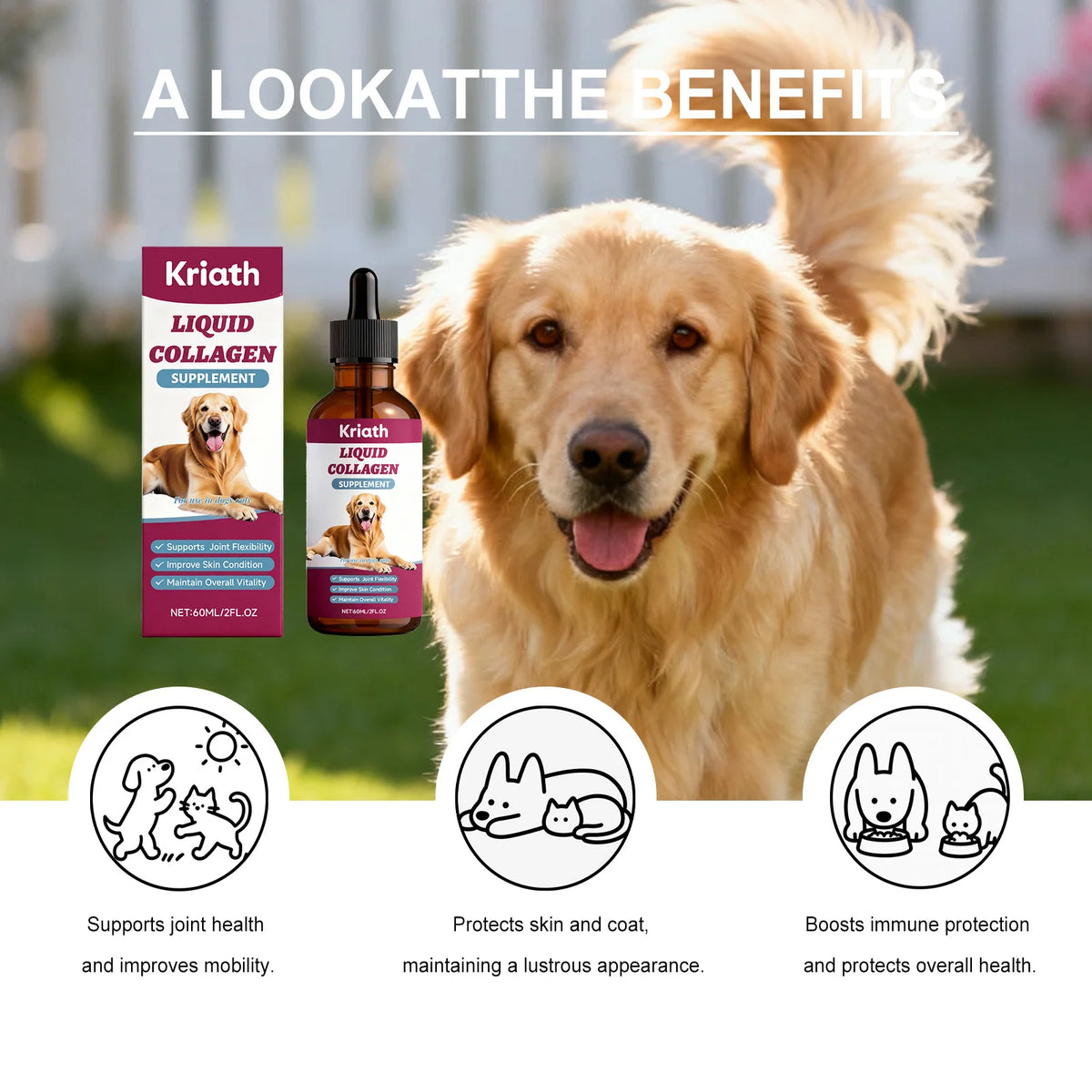 Gouttes nutritionnelles de collagène pour chien Articulations Peau Os Hanches Soutien immunitaire Complément vitalité Immunité Soin corporel canin intégral
