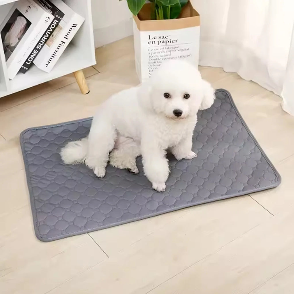 Tapis hygiénique réutilisable et lavable pour chien, siège de voiture, sol, canapé, tapis absorbant et imperméable pour l'entraînement des chiots et des chats, fournitures pour animaux de compagnie