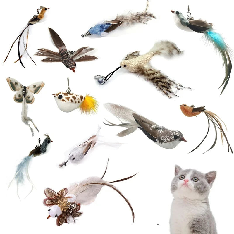 Baguette amusante en plumes d'oiseau pour chat avec accessoires de cloche, jouets interactifs pour chats, chatons, chasse, teaser, exercice, produits pour animaux de compagnie