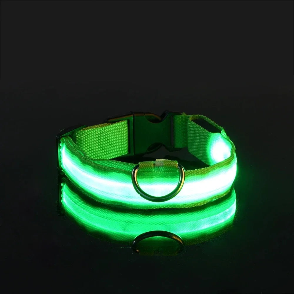Collar de perro de nylon LED de seguridad nocturna intermitente que brilla en la oscuridad, correa para perro, accesorios luminosos fluorescentes para perros, collar