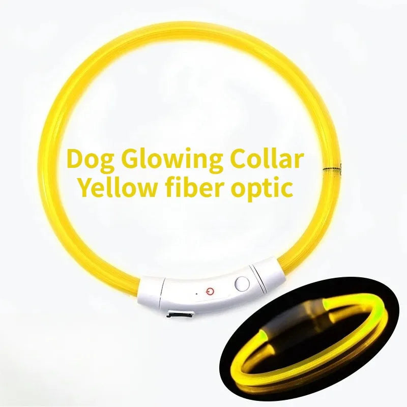 Collar de perro de fibra óptica recargable, accesorio luminoso que brilla en la noche para mascotas, collar de seguridad desmontable para una visibilidad nocturna mejorada