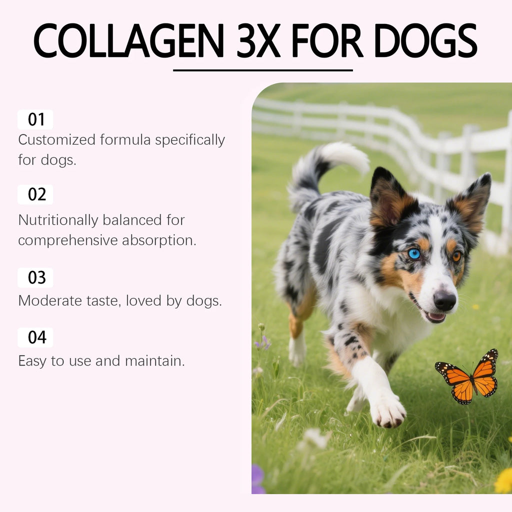 Gouttes de collagène pour chien 60ml Soutien Articulations Os Santé Poils Peau Soin Complément Alimentaire Formule Douce Solution Nutritionnelle pour Animaux de Compagnie