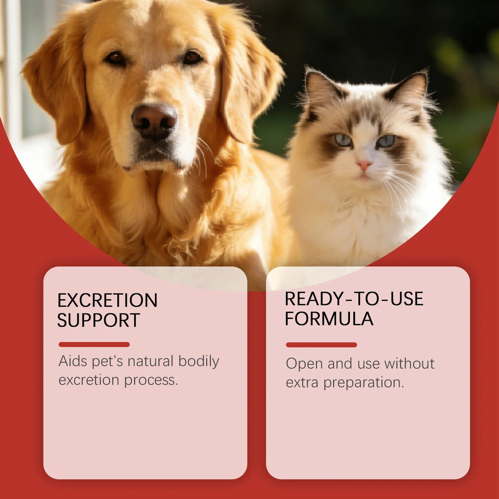 Gel de soin à la coquille de noix de coco pour chiens et chats : soutien intestinal, complément pour la santé digestive, soulagement, équilibre digestif, soin de la flore intestinale