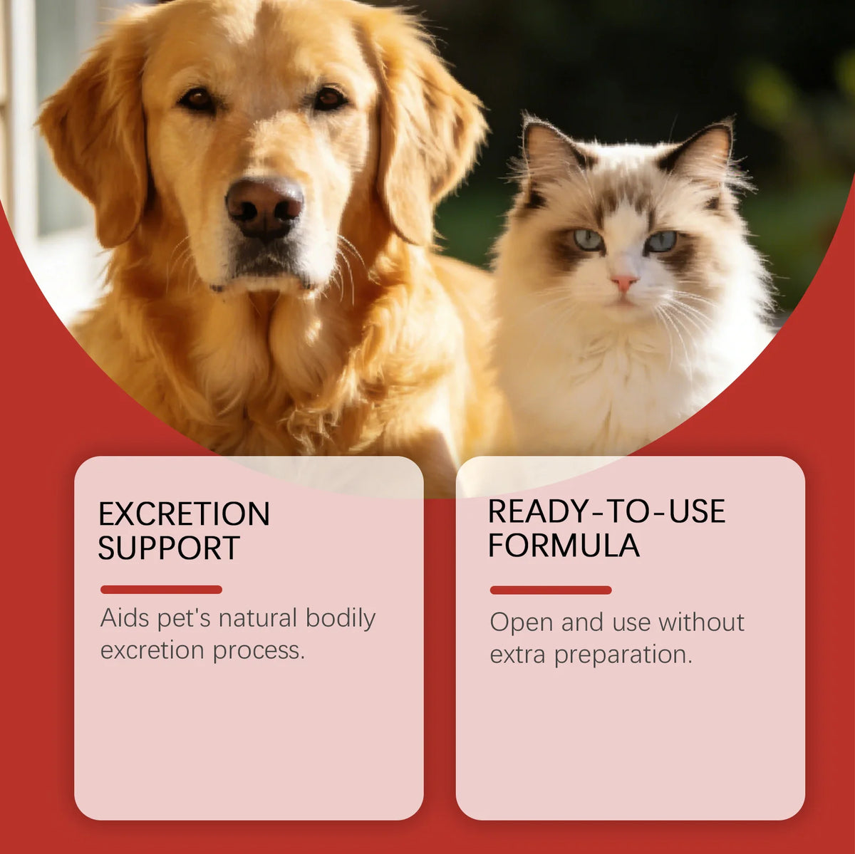 Gel de soin à la coquille de noix de coco pour chiens et chats : soutien intestinal, complément pour la santé digestive, soulagement, équilibre digestif, soin de la flore intestinale