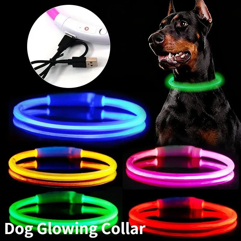 Collier lumineux rechargeable pour chien en fibre optique, accessoire pour animaux de compagnie brillant la nuit, collier de sécurité détachable pour une visibilité nocturne accrue