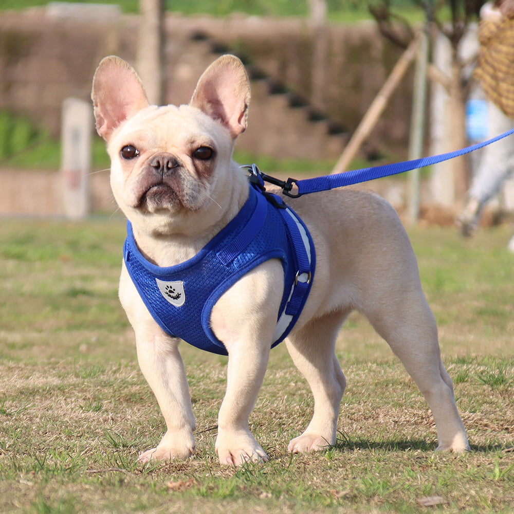 Reflective And Breathable Pet Chest Strap