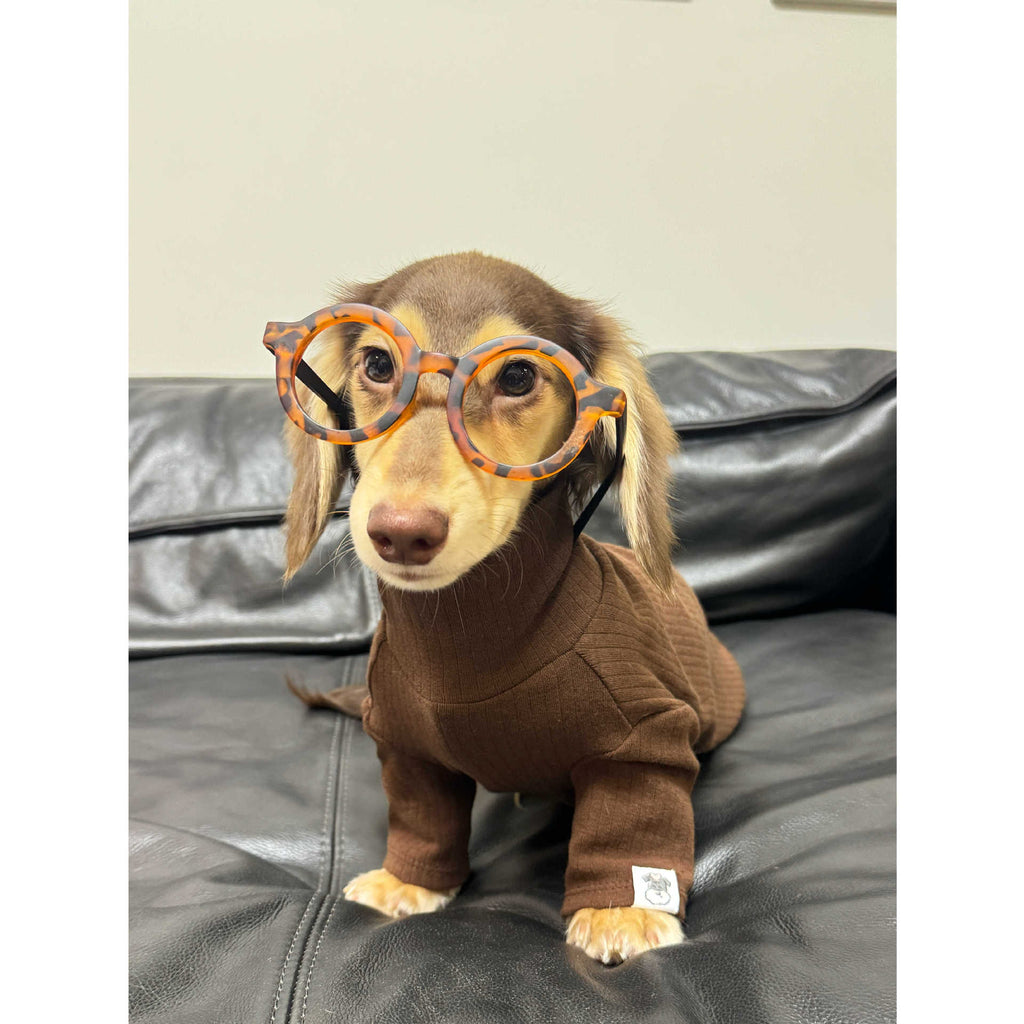 Pet Clothing Autumnwinter High-neck Base Vest