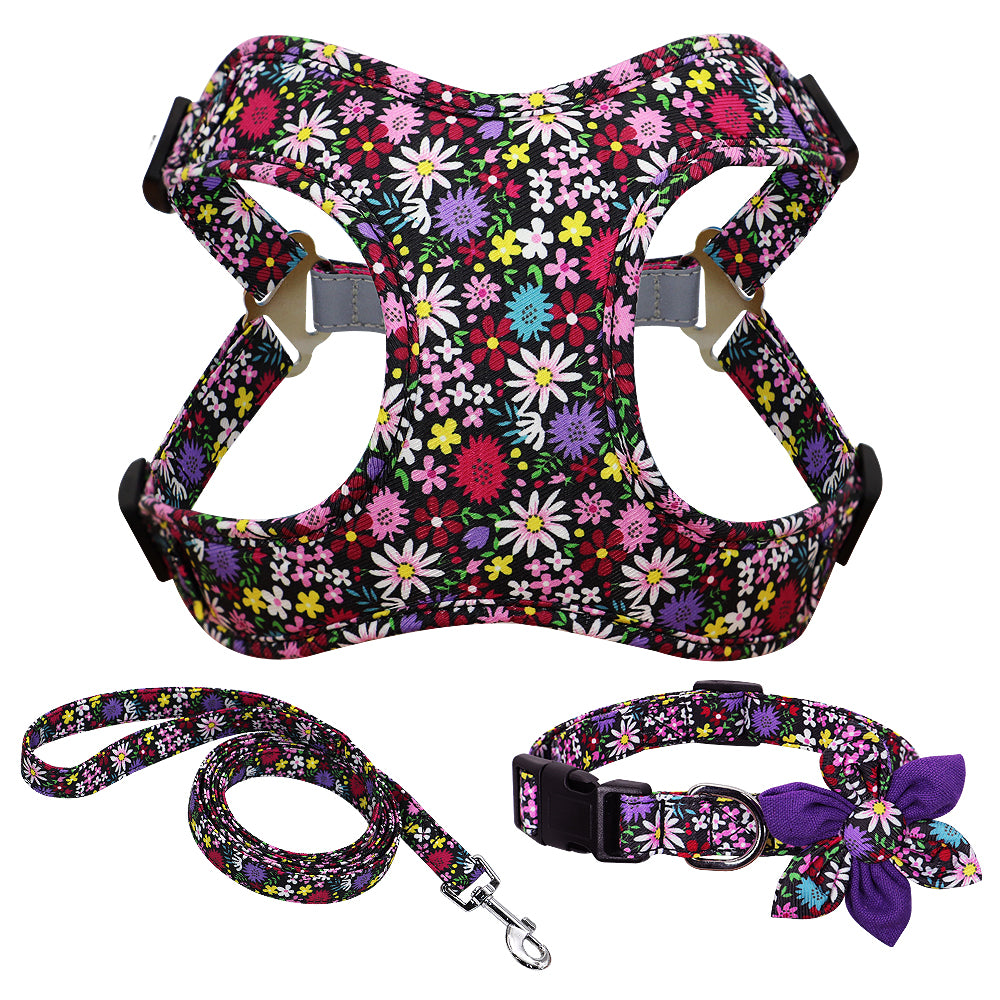 Veststyle Collarchest Strap Dog Walking Rope And Chain