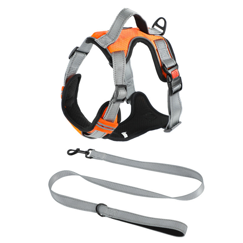 Dog Hand Holding Rope Vest Dog Chest Strap